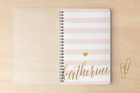 Safe Journal from Minted